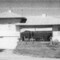 image 1 copy.jpg